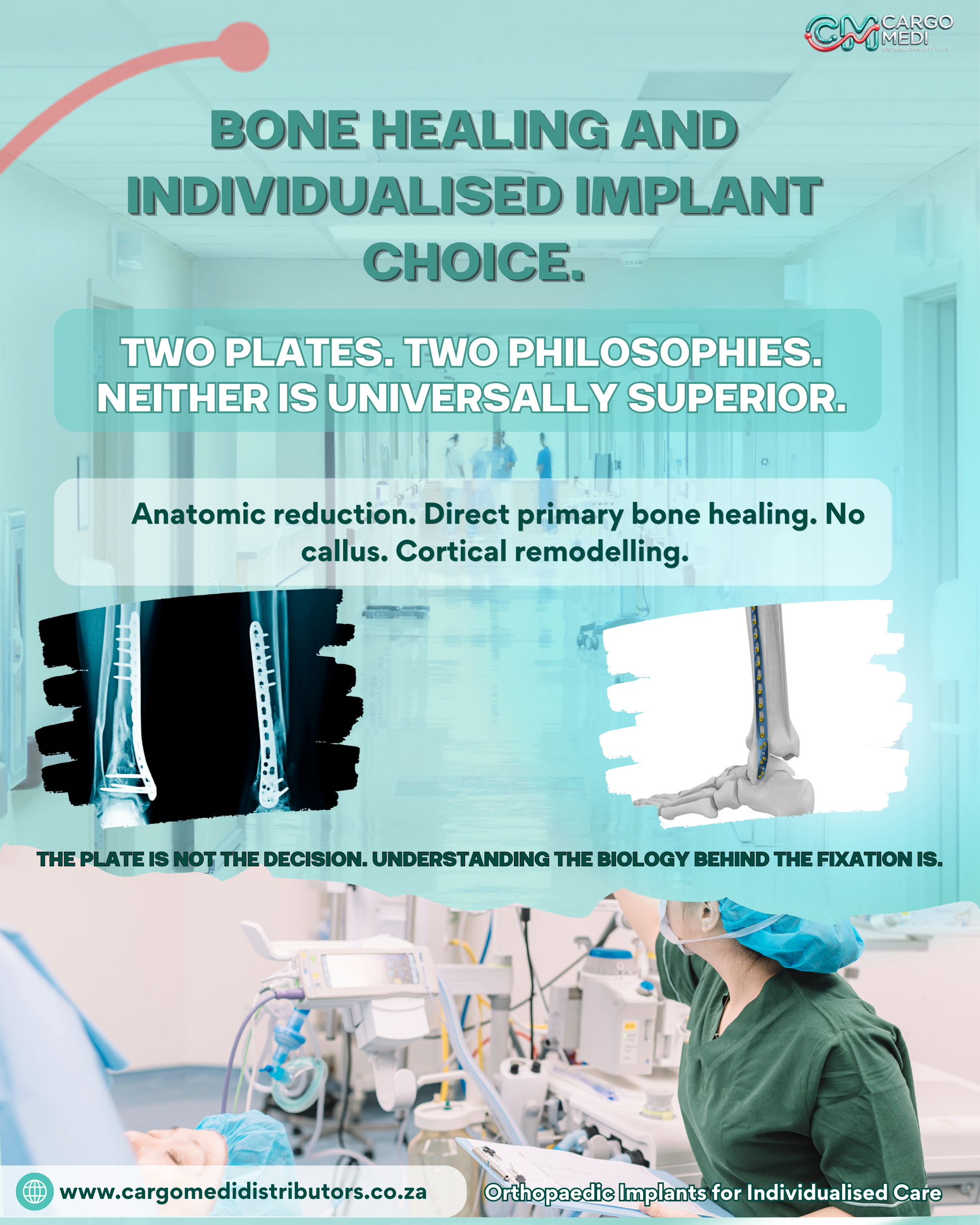 Two plates. Two philosophies. Neither is universally superior.