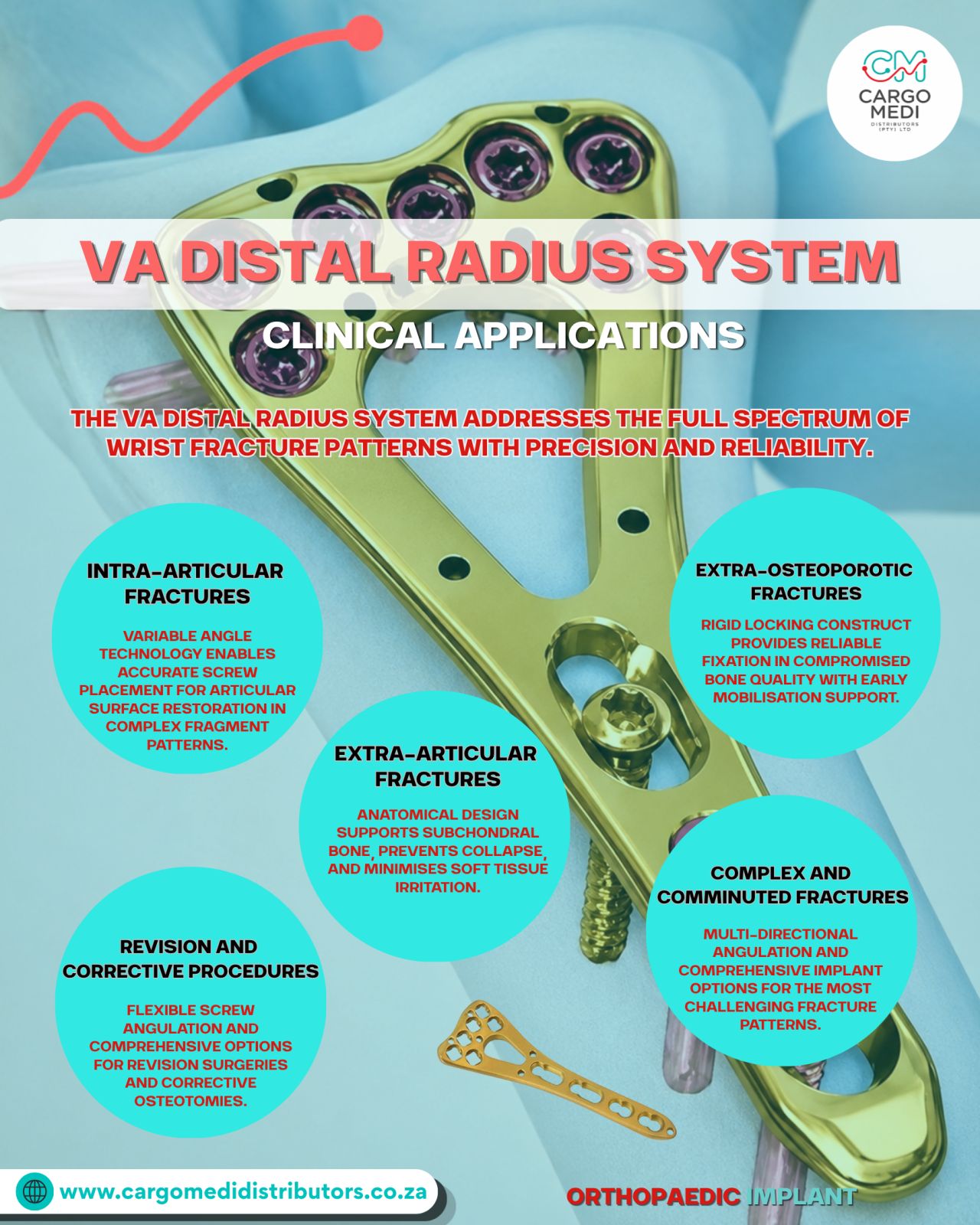 The VA Distal Radius System 
